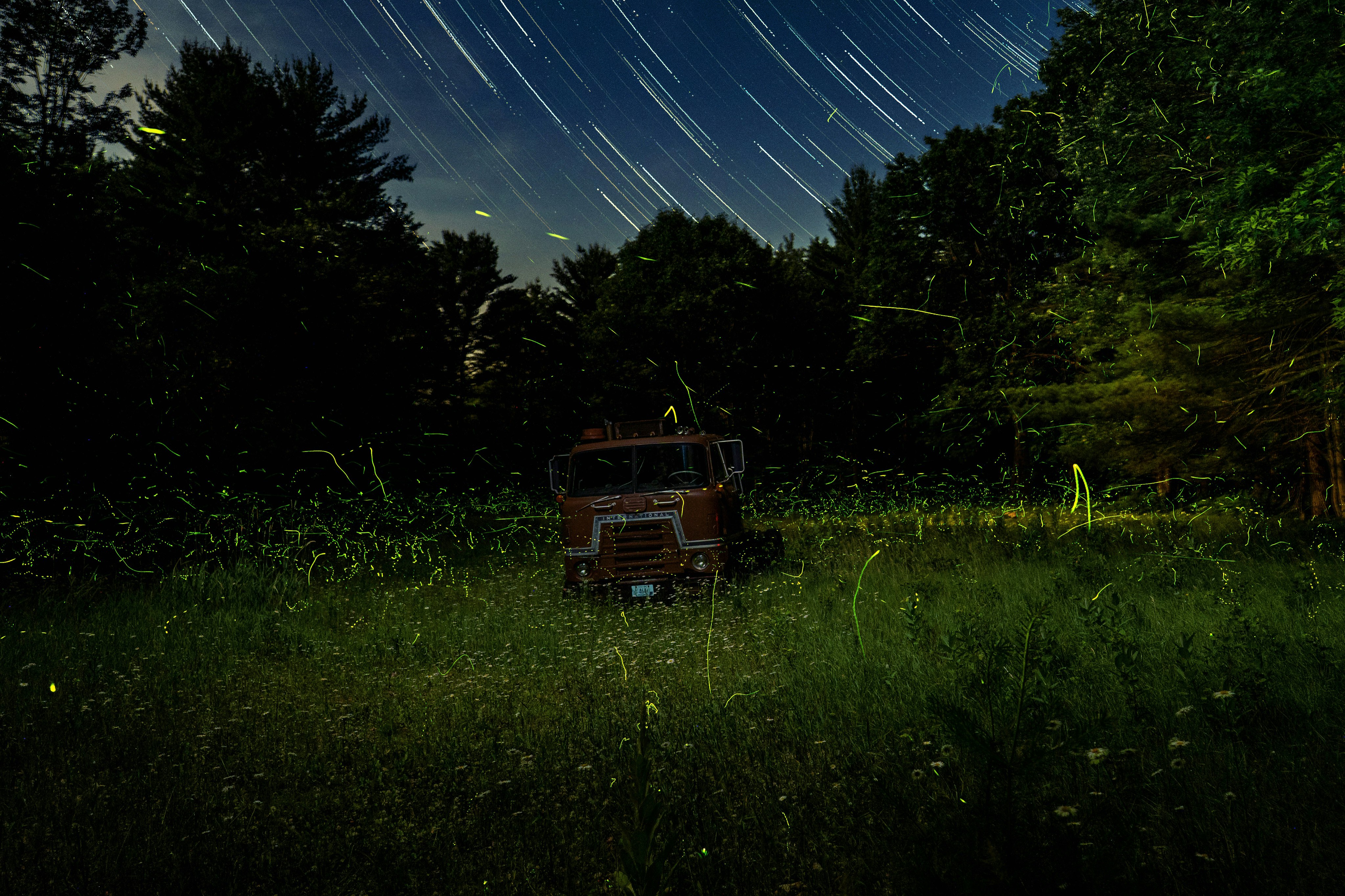 brown and black truck on green grass field under blue sky during night time